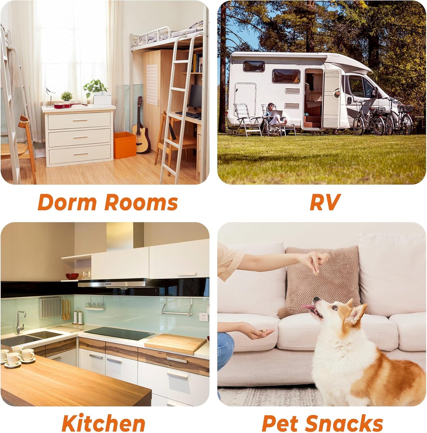 Stainless Steel Mini Food Dehydrator Dryer- 6 Stainless Steel Trays, Digital Adjustable Timer, 400W, 176°F, Temperature Control, for Jerky, Herb, Meat, Beef, Fruit and Pet Treats, Model 2016YJ, Silver