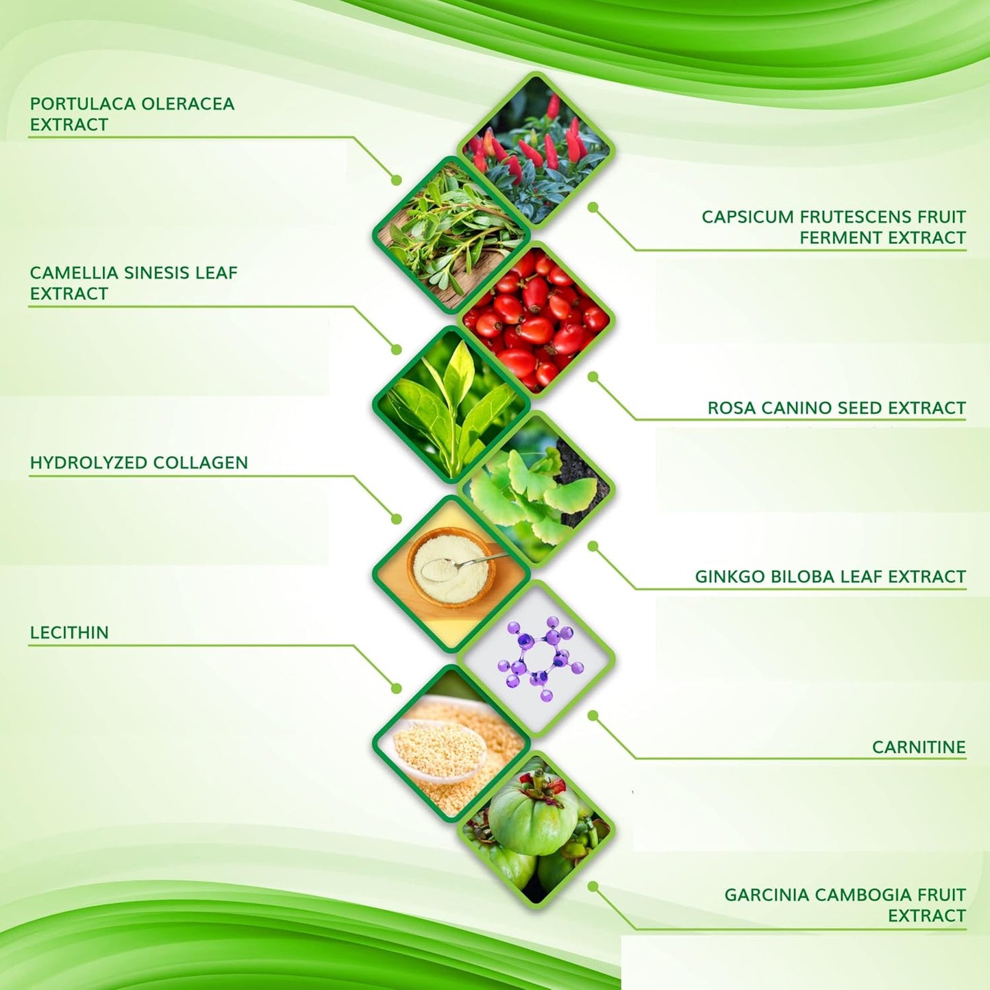 Toning Firming Body Sculpting Wrap for Definition – All Natural Anti Cellulite Wrap – Sculpting Body Applicator – New and Improved Solution for Arms, Legs, and Tummy (15 WRAPS)