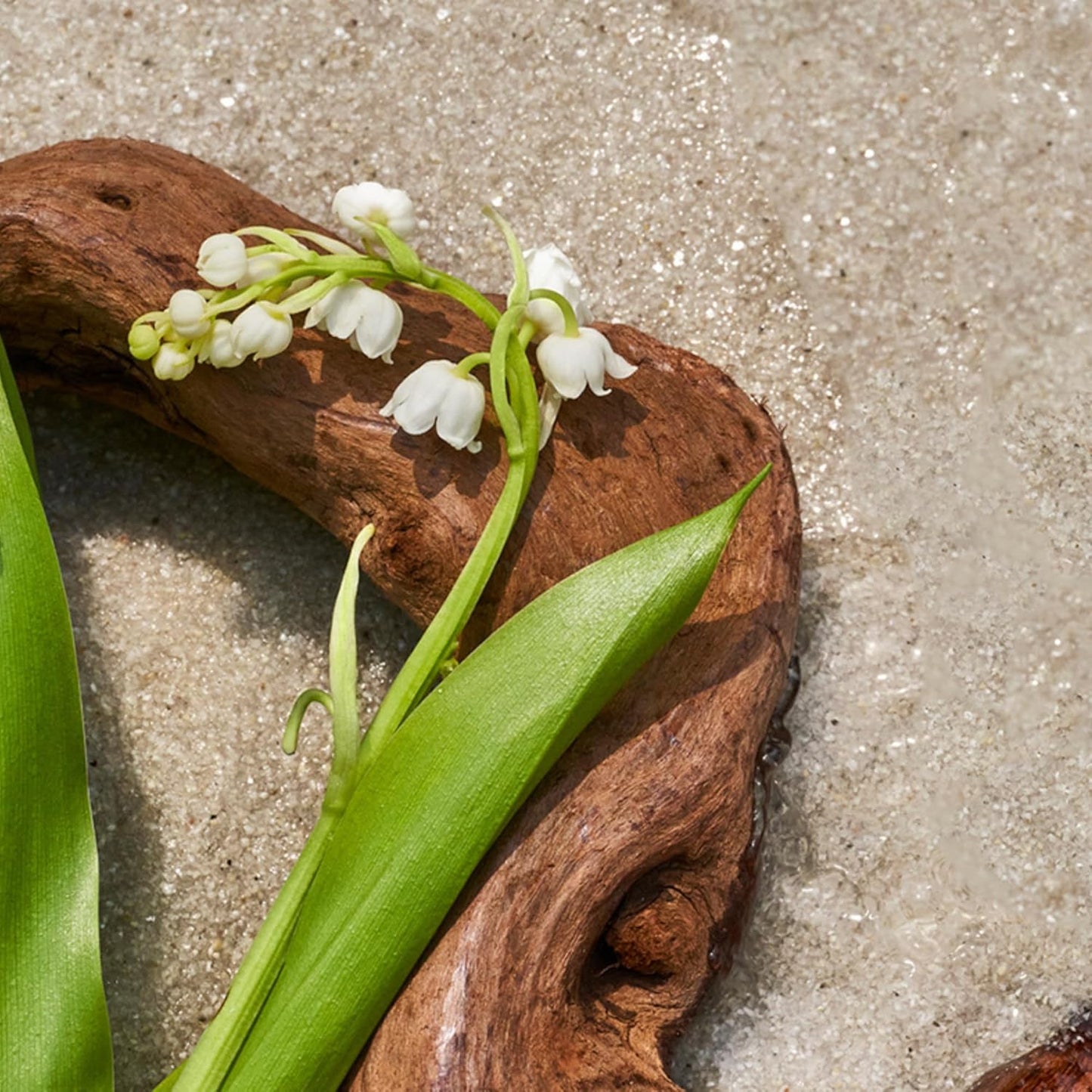 AromaTech Santal Escape Premium Aroma Oil β Uplifting & Sophisticated Home Fragrance with Notes of Sandalwood, Iris & Ocean Air for Scent Diffusers, Cold-Air and UltraSonic Scent Machines β 60 mL