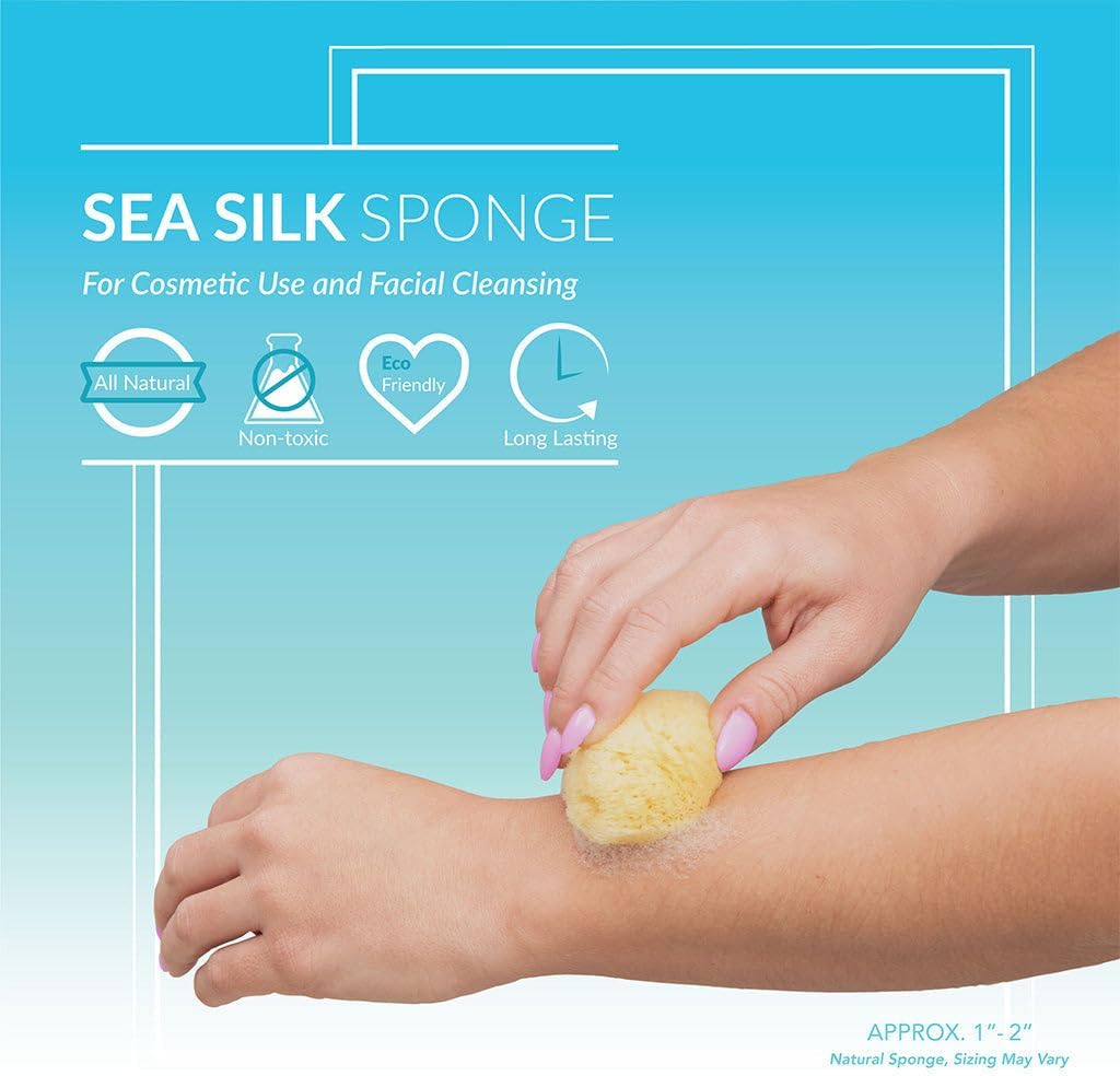 Sea Silk Sponge 6pc Kit, Hand Cut, Small, Approx. 1-2 inches, Ideal for Cosmetic Use and Facial Cleansing