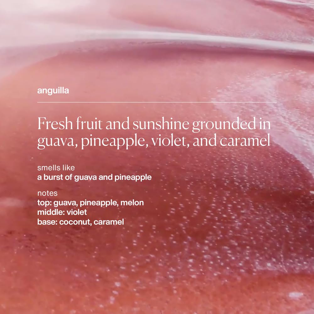 evolvetogether Lip Balm for Women & Men | Plant-Powered Hydration with Calming Lavender | Multi-Use Stick for Lips, Cuticles, Cheeks | Cruelty-Free, Paraben-Free | Made in USA (Anguilla, 1 Oz)