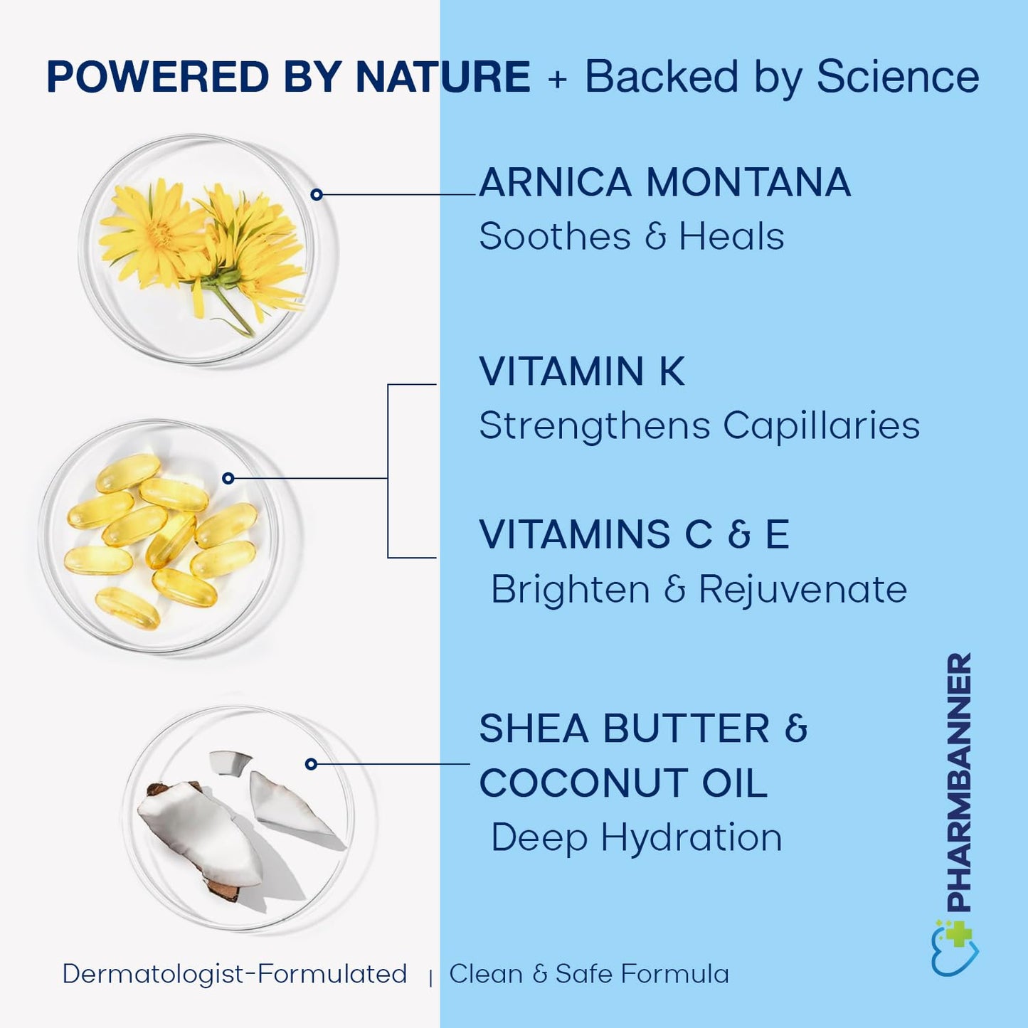 Arnica Bruise Cream Extra Strength – Fast Healing Arnica Montana with Vitamins K, C & E for Bruising, Swelling, Discoloration & Thin Skin – Hydrating Moisturizer for Face & Body – 4 oz