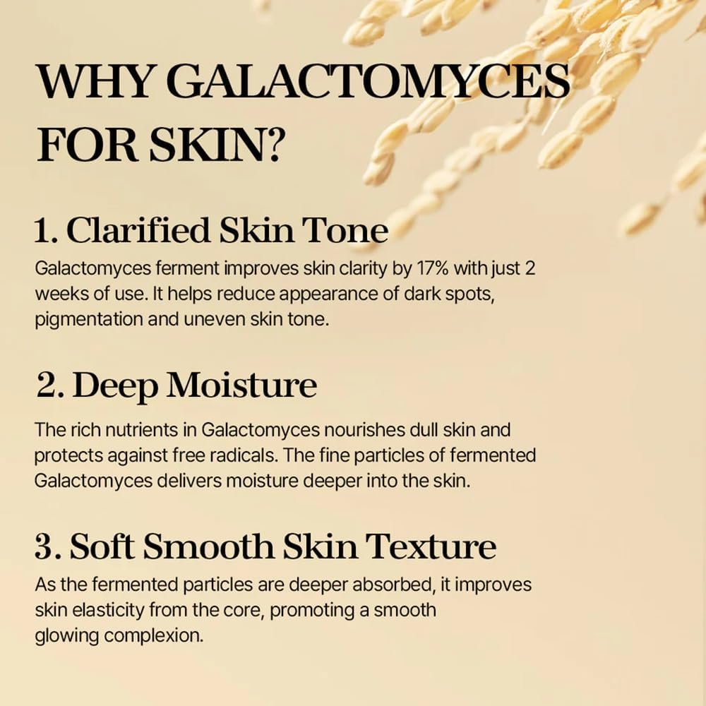 mixsoon Galactomyces Ferment Essence - Deep Moisture, Tone Clarifying Essence to Smooth Skin for Dull, Uneven Skin - Korean Skincare for Glass Skin - Vegan (3.38 fl.oz / 100ml)