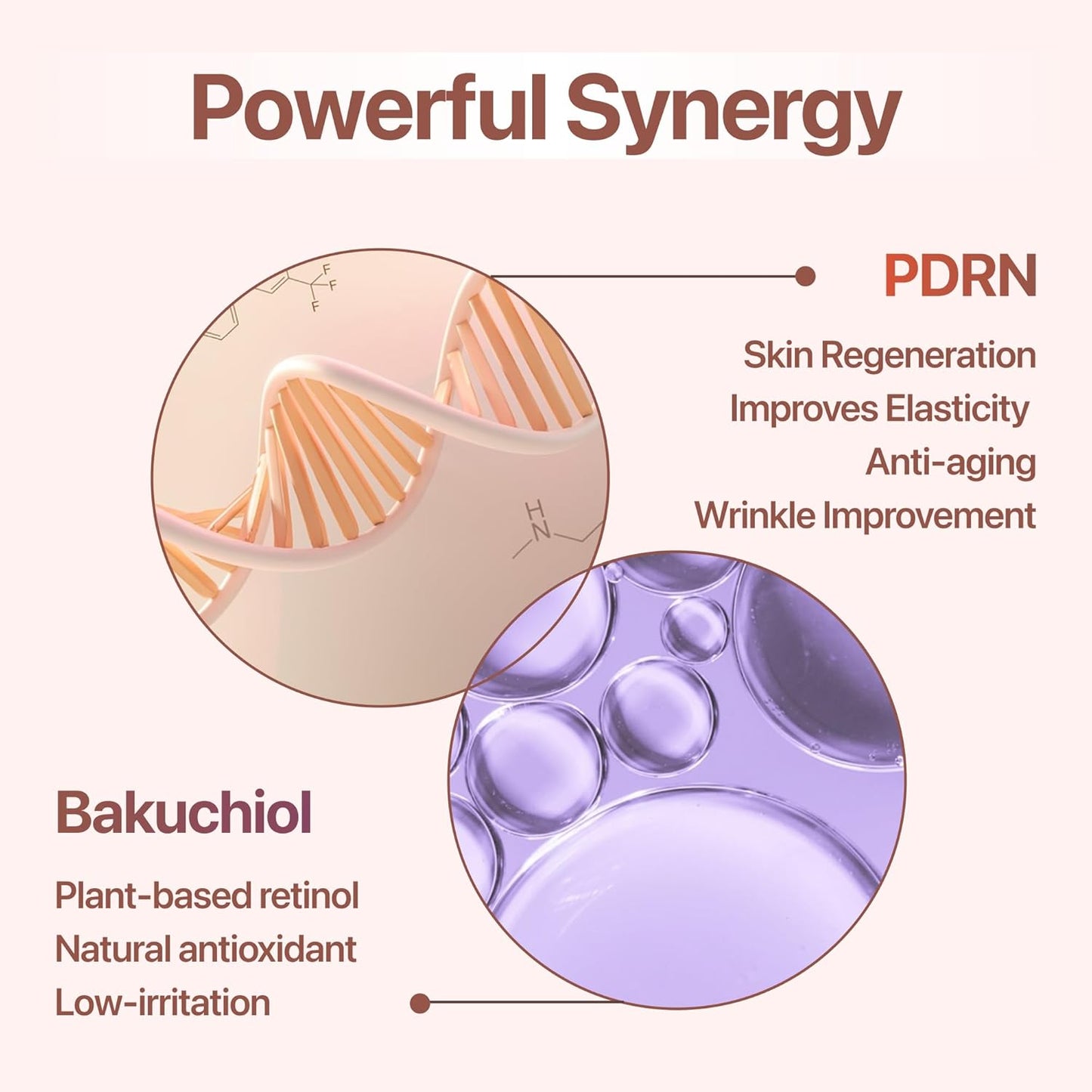 PDRN Cream with Salmon DNA, Ceramide NP, Collagen, Plant Based Bakuchiol, Moisturizing Bifida and Hyaluronic, CUSKIN, Korean Skin Care PDRN Cream, 50 ml (1.69 fl. oz.)