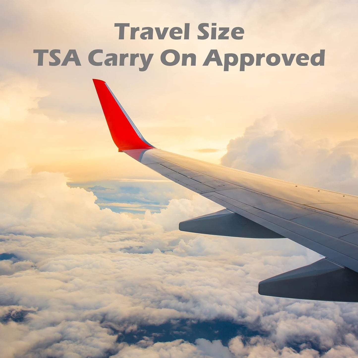 TailaiMei 12 Pieces Travel Pouches for Toiletries, TSA Approved Portable Travel Size, Refillable Stand Up Pouch for Shampoo/Conditioner/Lotion (1.7 &3.4 oz)