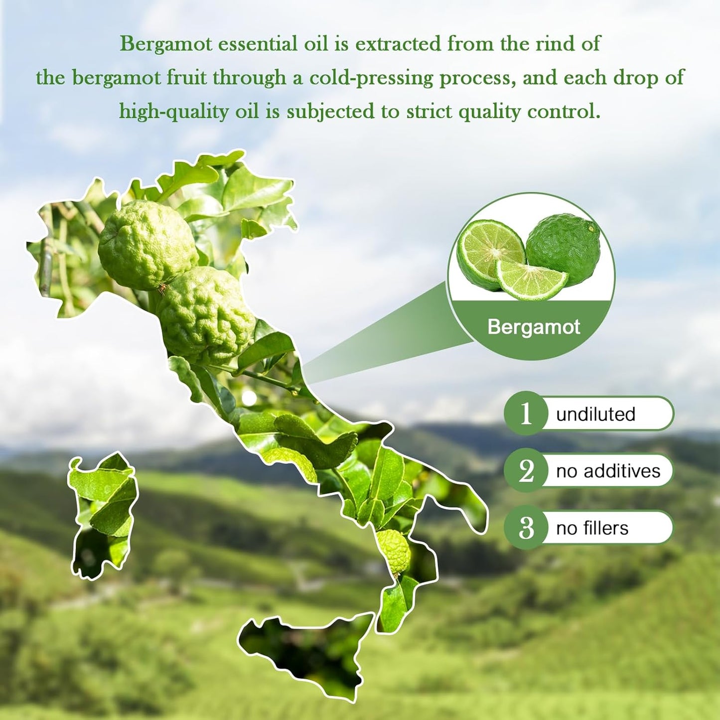 EVOKE OCCU Bergamot Essential Oil for Diffuser Skin Relaxation & DIY Wool Dryer Balls - 4 FL Oz