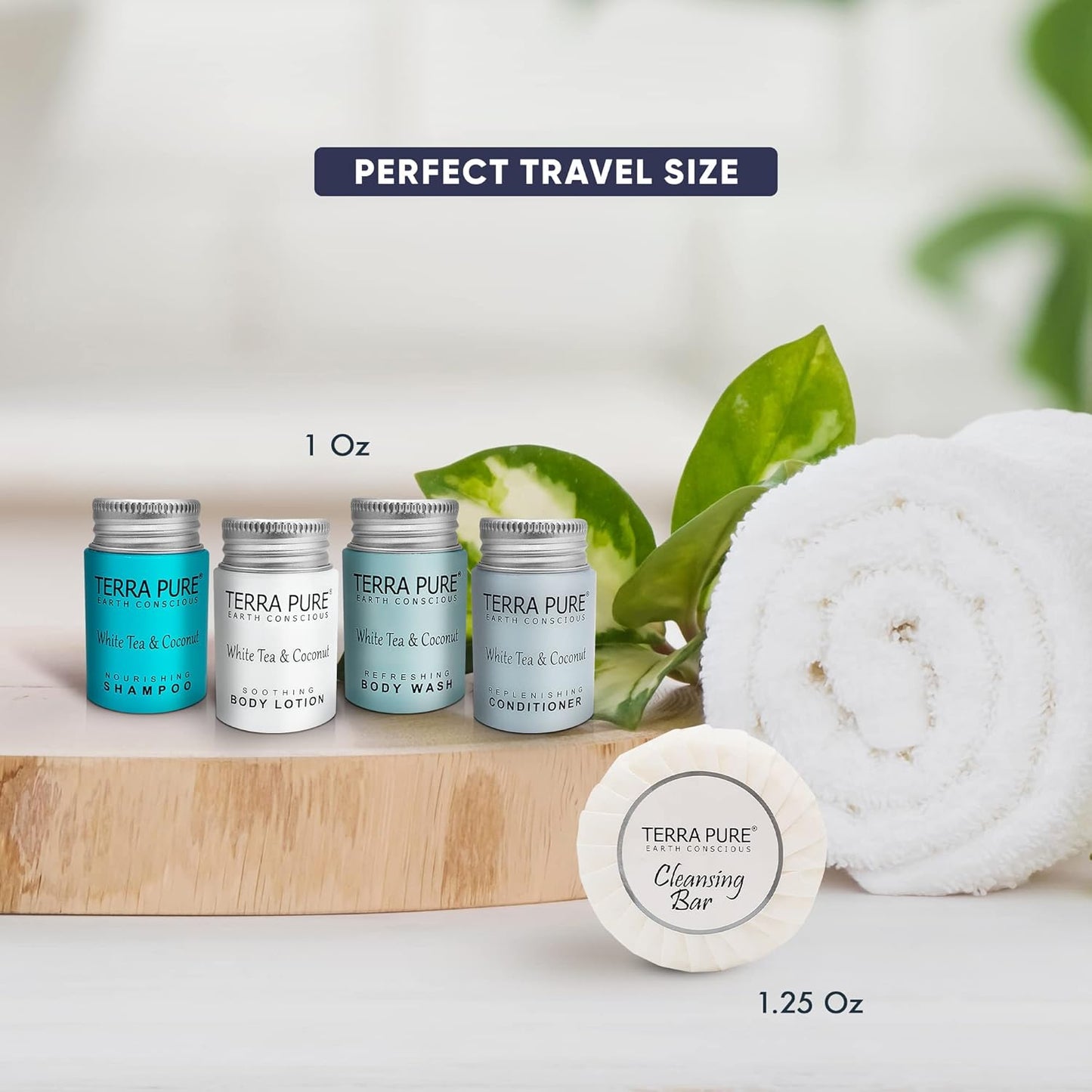 Terra Pure White Tea & Coconut Hotel Size Toiletries Set | 1-Shoppe All-In-Kit | 1 oz. Liquids and 1.25 oz. Bar Soap | Amenities For Hotels, Airbnb & Rentals | (75 pieces)