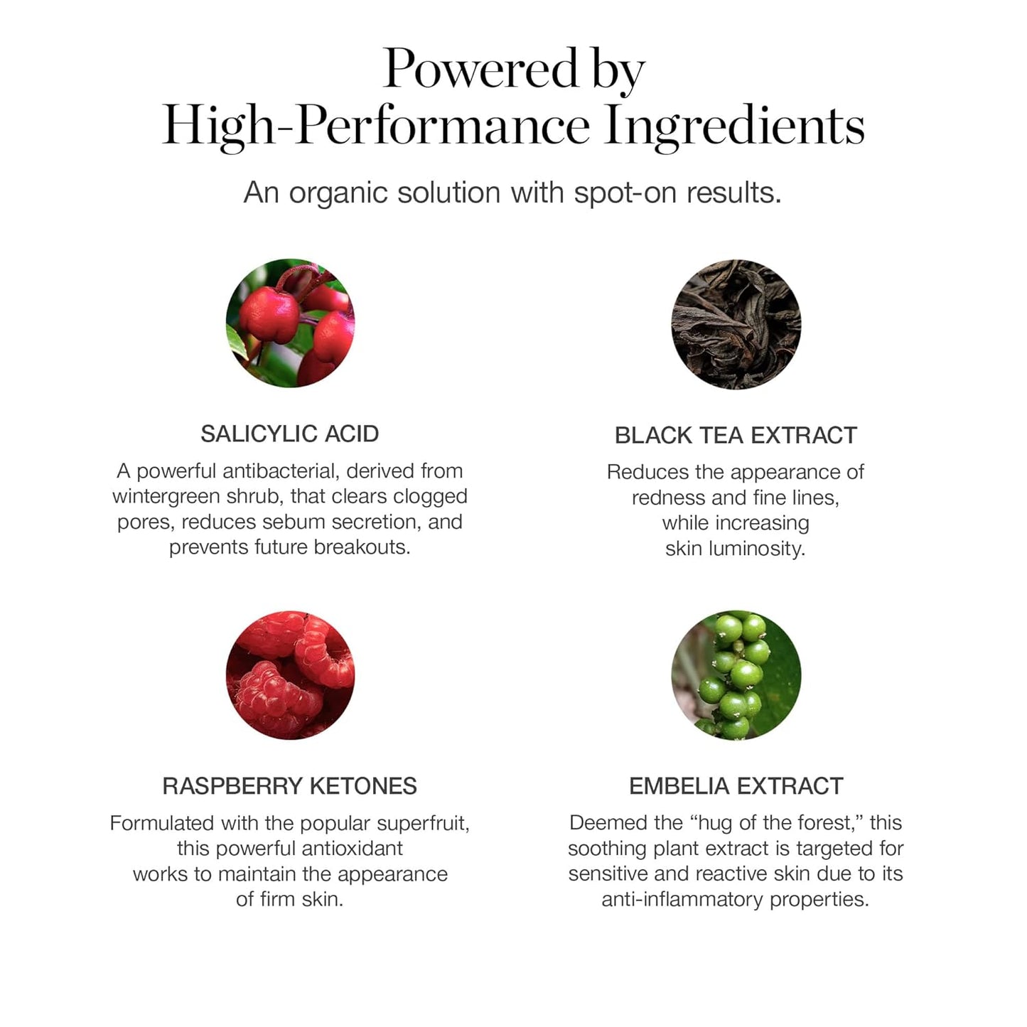 Ogee Plant-Based Acne Treatment for Face with Salicylic Acid - Targeted Acne Spot Treatment with Soothing Ceramic Application Tip