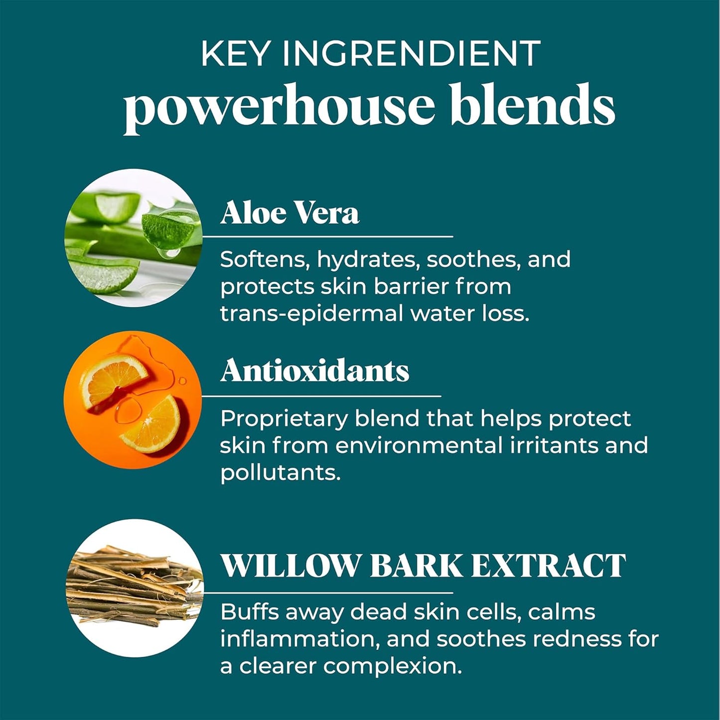 VI Derm Hydrating Gentle Purifying Cleanser – Face Wash with Aloe Vera, Antioxidants, and Willow Bark, Travel Size Mini Facial Cleanser for Makeup Removal and Sensitive Skin – 0.75 Fl Oz / 22 mL