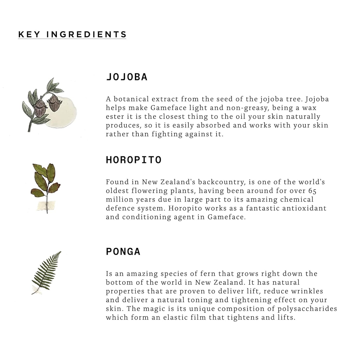 TRIUMPH & DISASTER | Gameface Moisturiser Tube | Hydrating Facial Moisturizer - Lightweight, Non-Greasy Facial Lotion for Men, 3.04 oz