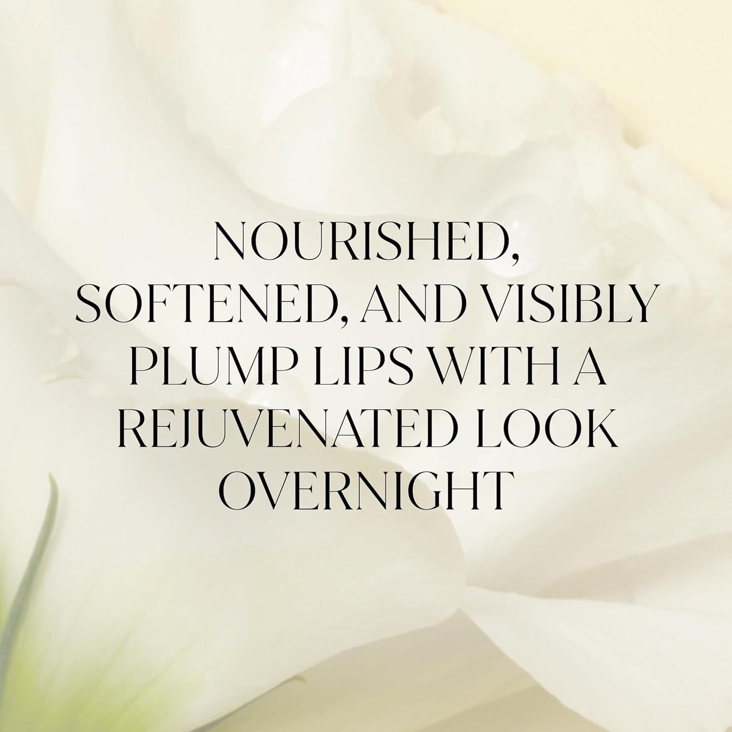 Lip Sleeping Mask (Vita Shield) | Overnight Hydrating Treatment for Dry, Cracked Lips | With Fatty Acids for Plumping & Softening | Non-Sticky Formula