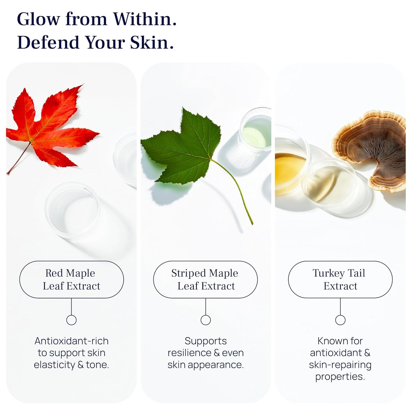 PUREANCE Organic Hydrating Serum for Face - Tremella Mushroom Stimulates Collagen and Cellular Growth, Hyaluronic Acid Serum Enhances Moisture and Nourishes Skin