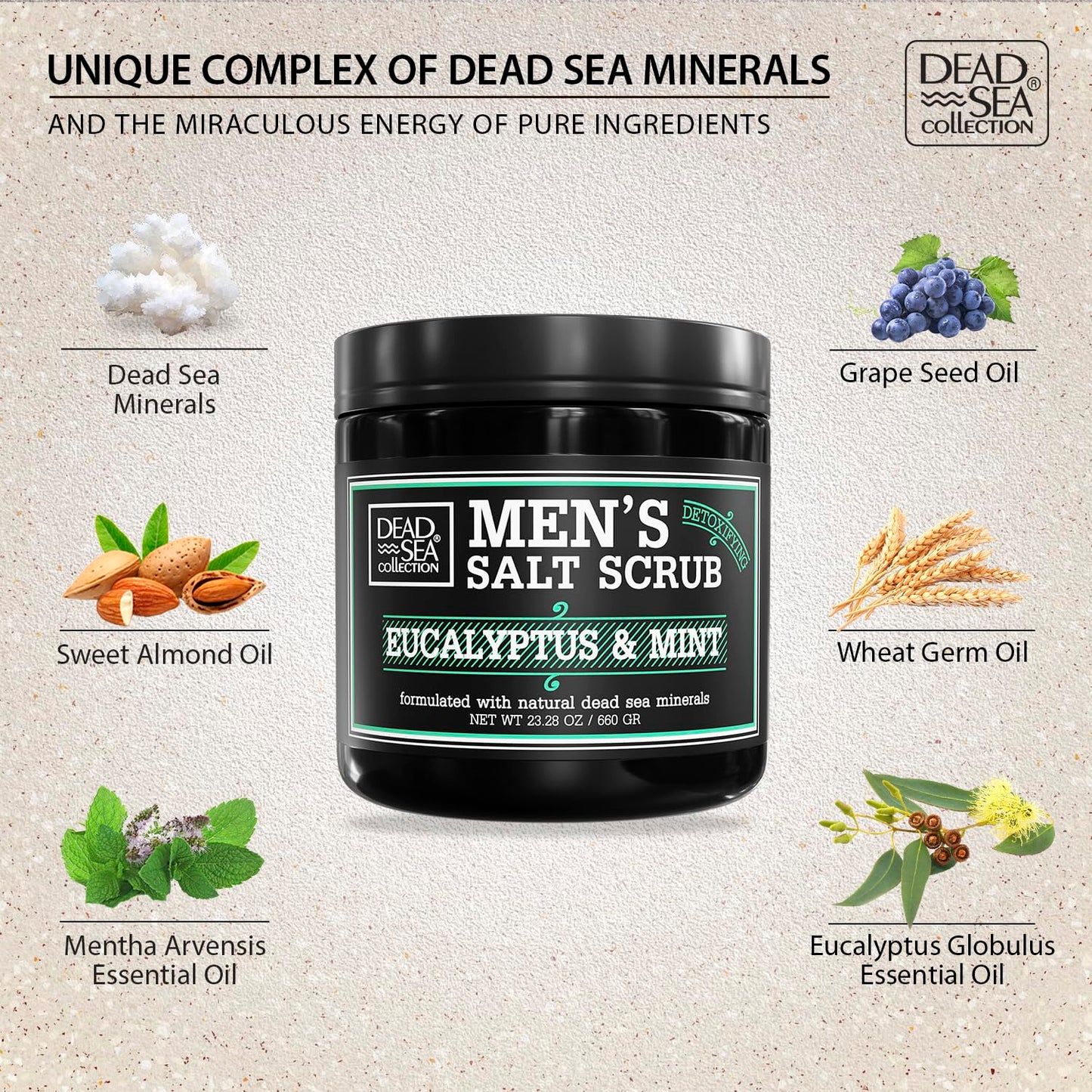 Salt Body Scrub Eucalyptus & Mint For Men– Moisturizes, Exfoliates & Nourishes Skin – Cleanses & Detoxifies with Dead Sea Minerals – Dead Sea Collection - 23.28 OZ