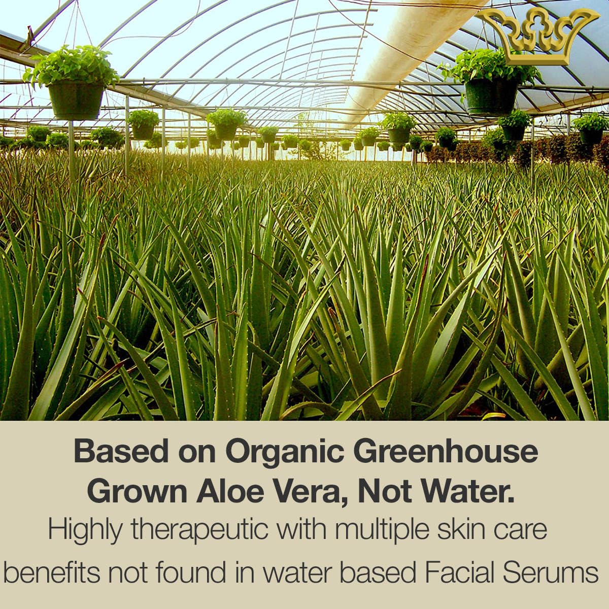 GUNILLA Cell Rejuvenator | Plant-Based Anti-Aging Facial Serum | Hydrates, Firms & Smooths for Radiant Skin | With Collagen, Elastin, Ginseng & Vitamins A, B, C & D | Vegan, Spa-Grade Skincare 4oz